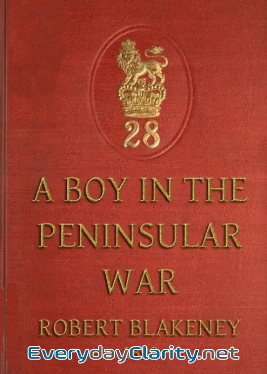 Book cover image A Boy In The Peninsular War