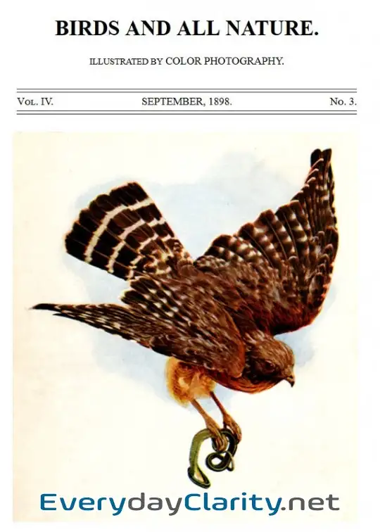 Book cover image Birds And All Nature, Vol. 4, No. 3, September 1898 . Illustrated By Color Photography