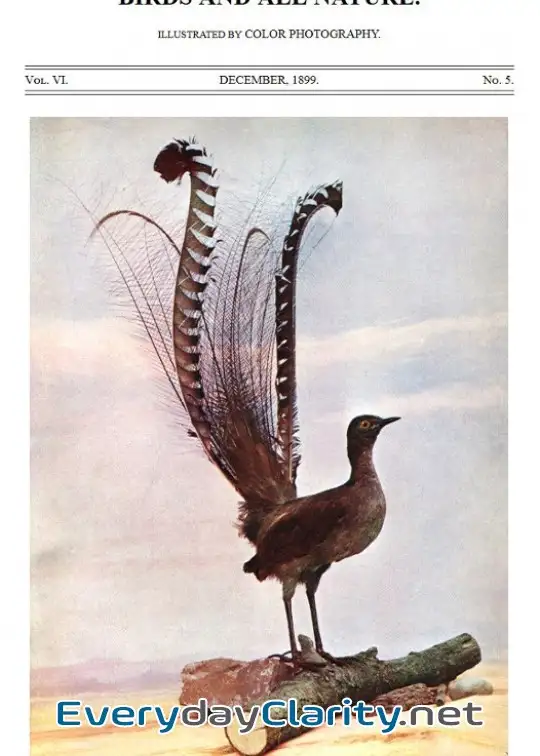 Book cover: Birds And All Nature, Vol. 6, No. 5, December 1899 . Illustrated By Color Photography