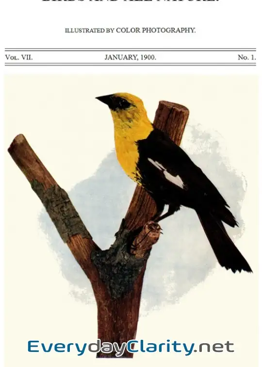 Book cover: Birds And All Nature, Vol. 7, No. 1, January 1900 . Illustrated By Color Photography