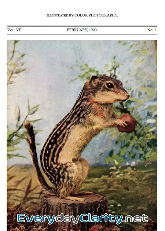 Book cover image Birds And All Nature, Vol 7, No. 2, February 1900 . Illustrated By Color Photography