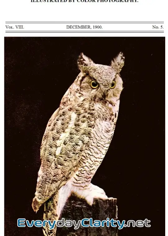 Book cover image Birds And Nature, Vol. 08, No. 5, December 1900 . Illustrated By Color Photography