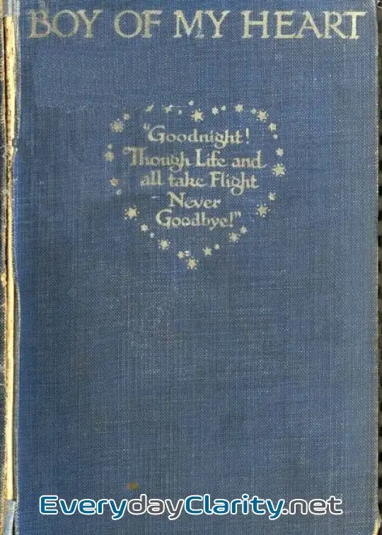 Book cover image Boy Of My Heart