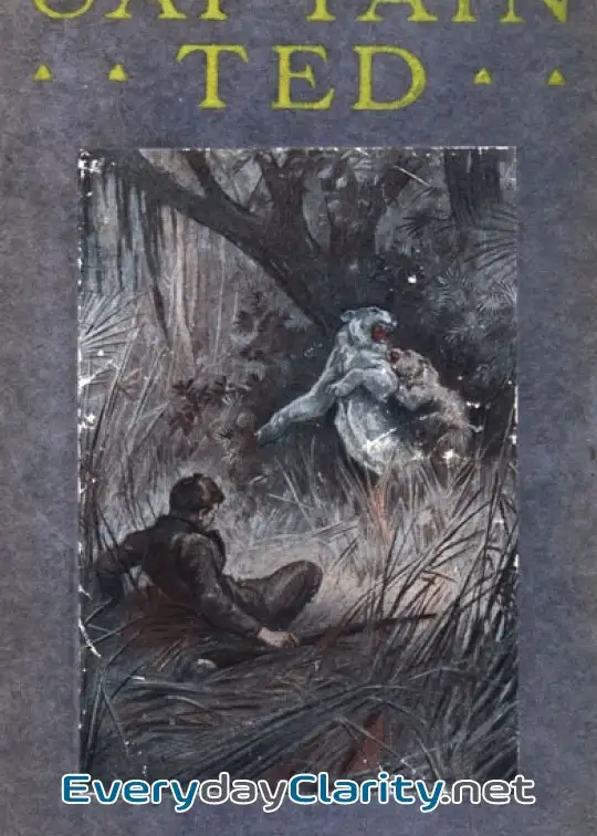 Book cover: Captain Ted. A Boy’s Adventures Among Hiding Slackers In The Great Georgia Swamp