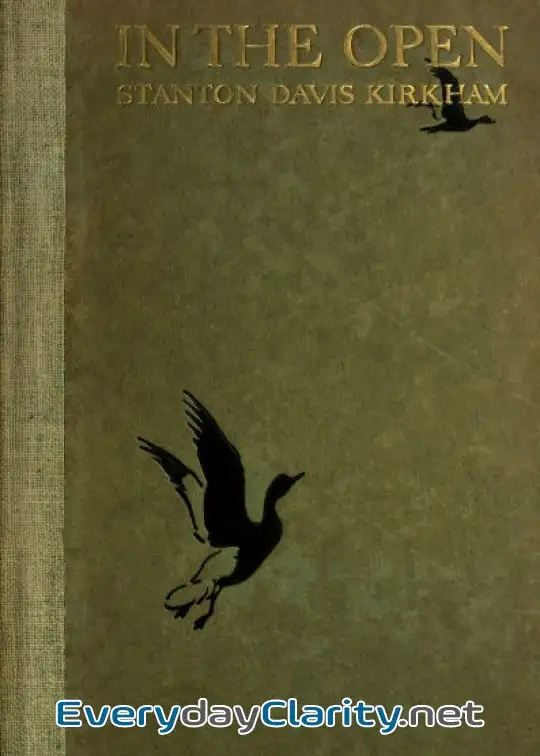 Book cover: In The Open