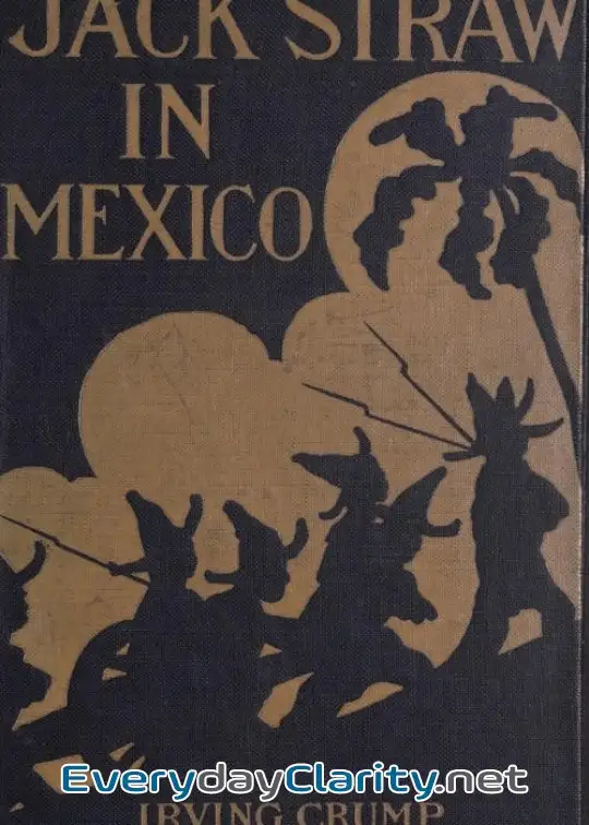 Book cover: Jack Straw In Mexico. How The Engineers Defended The Great Hydro-Electric Plant