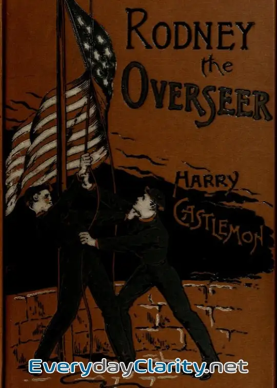Book cover image Rodney, The Overseer