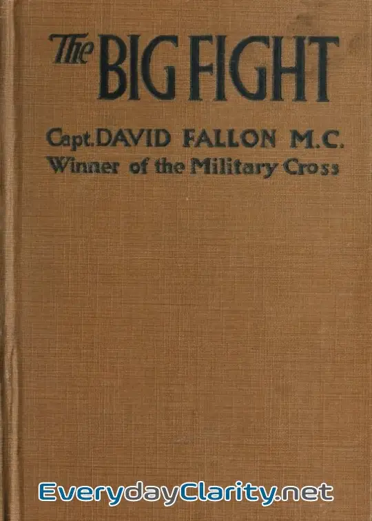 Book cover image The Big Fight (Gallipoli To The Somme)