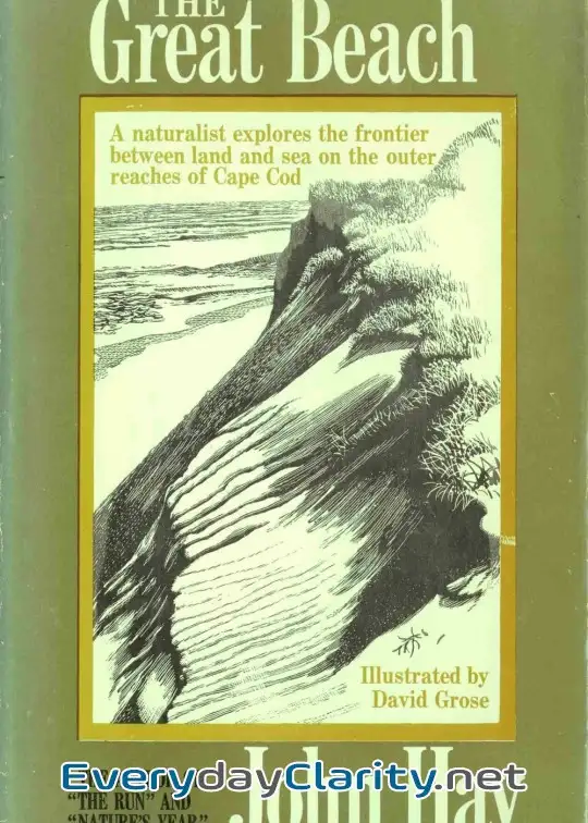 Book cover image The Great Beach