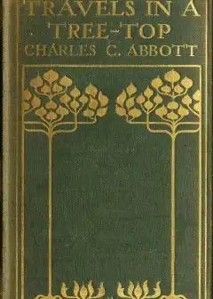 Travels In A Tree-Top