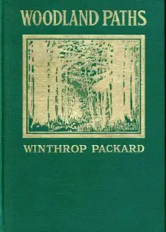 Ảnh Woodland Paths