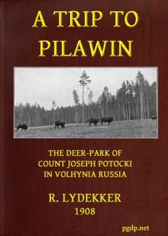 A Trip To Pilawin, The Deer-Park Of Count Joseph Potocki In Volhynia, Russia