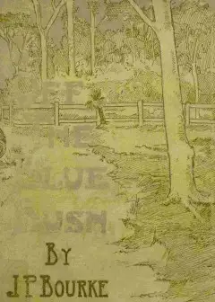 Off The Bluebush