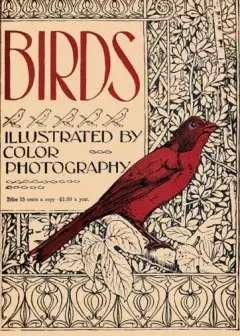 Ảnh Birds, Illustrated By Color Photography, Vol. 1, No. 6 . June, 1897