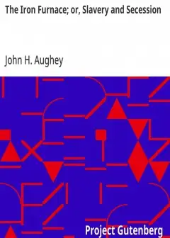 The Iron Furnace; Or, Slavery And Secession