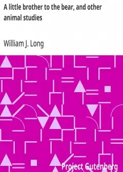 A Little Brother To The Bear, And Other Animal Studies