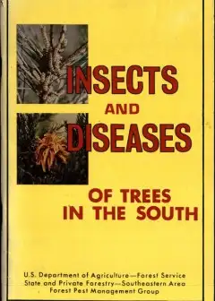 Insects And Diseases Of Trees In The South