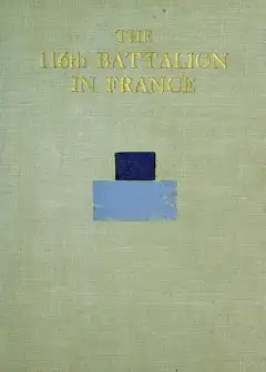 Ảnh The 116Th Battalion In France