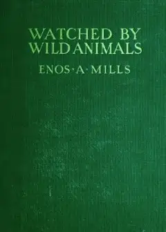 Watched By Wild Animals