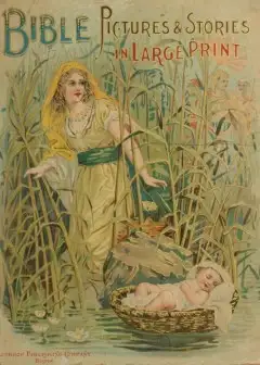 Ảnh Bible Pictures And Stories In Large Print