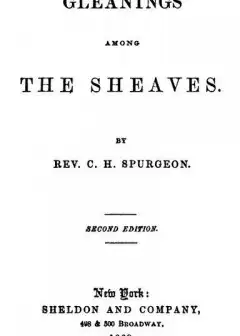 Gleanings Among The Sheaves