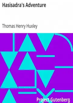 Hasisadra’s Adventure . Essay #7 From .science And Hebrew Tradition