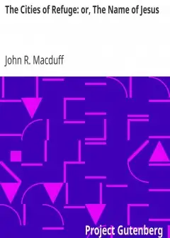 The Cities Of Refuge. Or, The Name Of Jesus . A Sunday Book For The Young