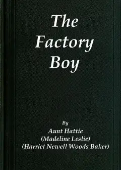 The Factory Boy
