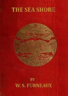 Ảnh The Sea Shore