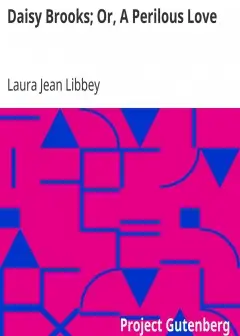 Daisy Brooks; Or, A Perilous Love