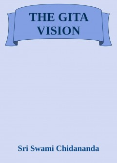 The Gita Vision