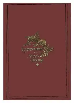 Eccentricities Of The Animal Creation