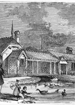 Illustrative Anecdotes Of The Animal Kingdom