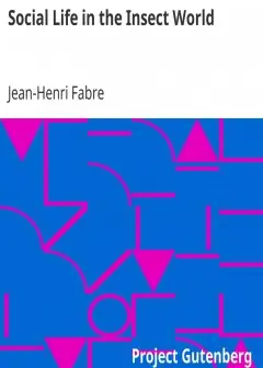 Social Life In The Insect World