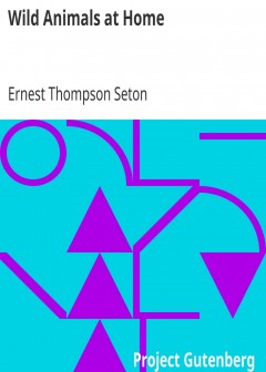 Wild Animals At Home