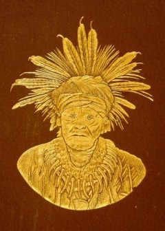 Seventh Annual Report Of The Bureau Of Ethnology . To The Secretary Of The Smithsonian Ins