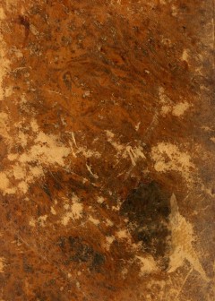 A Treatise On Self-Knowledge . Shewing The Nature And Benefit Of That Important Science, A