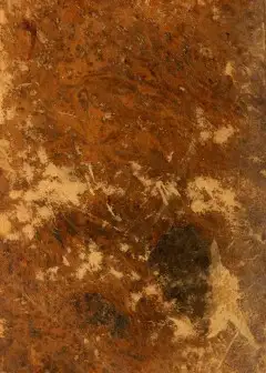 A Treatise On Self-Knowledge . Shewing The Nature And Benefit Of That Important Science, A