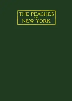 The Peaches Of New York