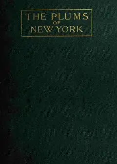 The Plums Of New York