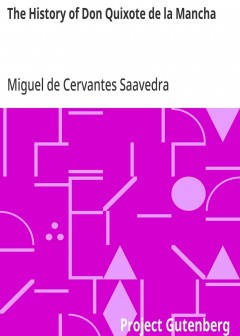 The History Of Don Quixote De La Mancha