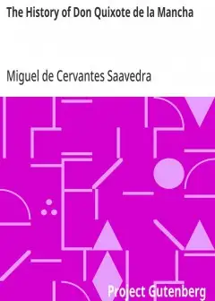 The History Of Don Quixote De La Mancha