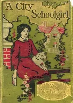 Ảnh A City Schoolgirl And Her Friends