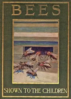 Bees, Shown To The Children