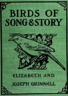 Birds Of Song And Story