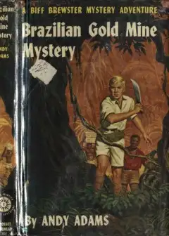 Brazilian Gold Mine Mystery