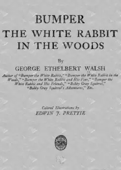 Bumper The White Rabbit In The Woods