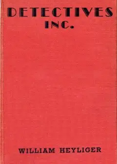 Detectives, Inc.. A Mystery Story For Boys
