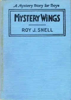 Mystery Wings . A Mystery Story For Boys