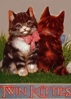 My Twin Kitties